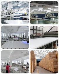 Anhui Chenyu Home Textile Co., Ltd.