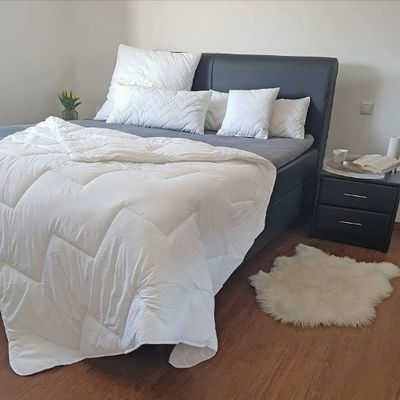 Polyester Filling Solid Microfiber Comforter Breathable Lightweight Summer Duvet Quilts