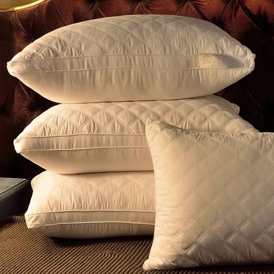 White Embroidery Soft Touch Microfibre Pillow Gusset Microfiber Neck Pillow 45x70cm