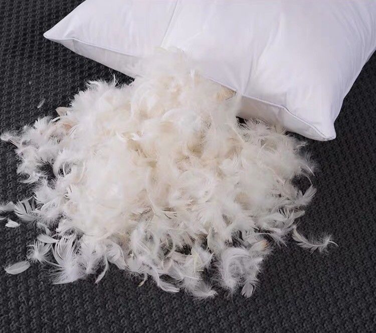 Custom Durable Soft Down Pillow Long Lasting Comfort And Neck Support Pillows